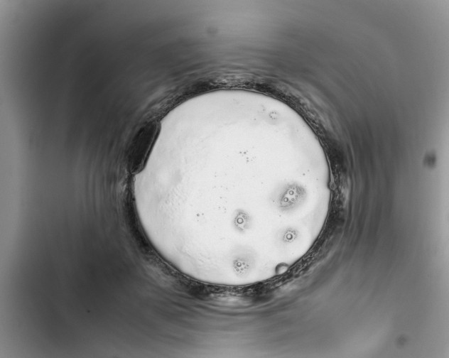 X0000103270507200809191745