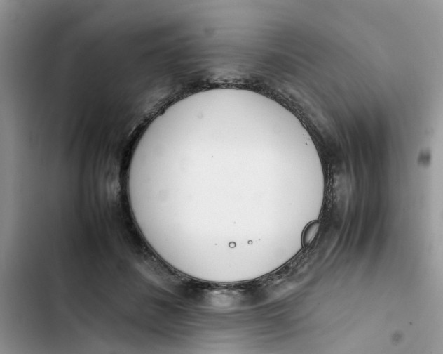 X0000103270508200809191745