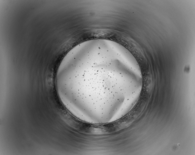 X0000103270510200809191745