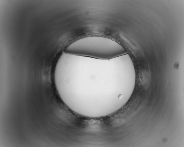X0000103270512200809191745