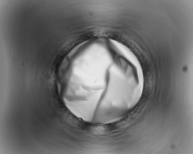 X0000103270513200809191745
