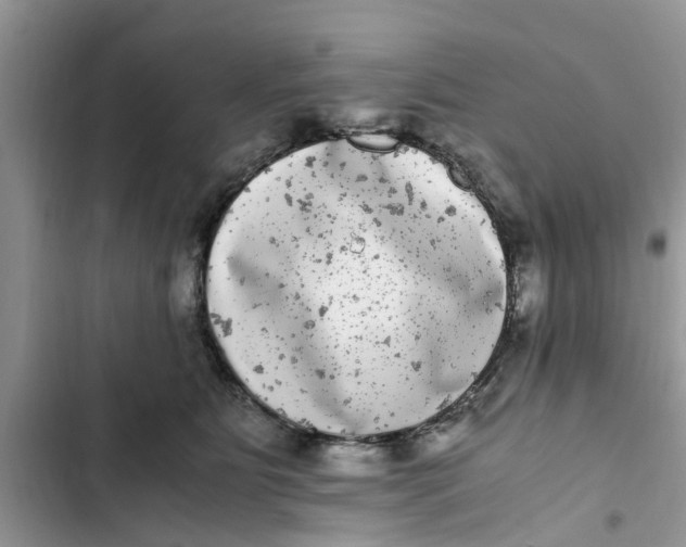X0000103270515200809191745