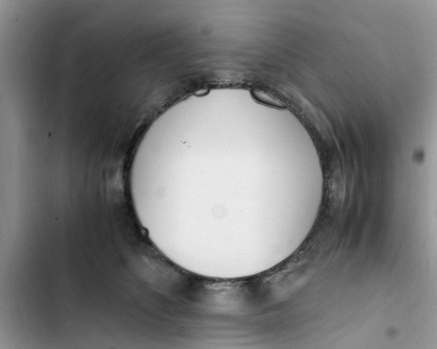 X0000103270516200809191745