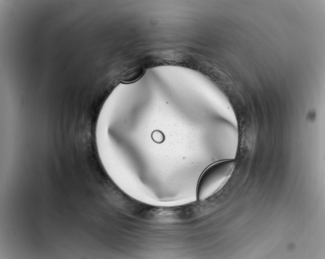 X0000103270518200809191745