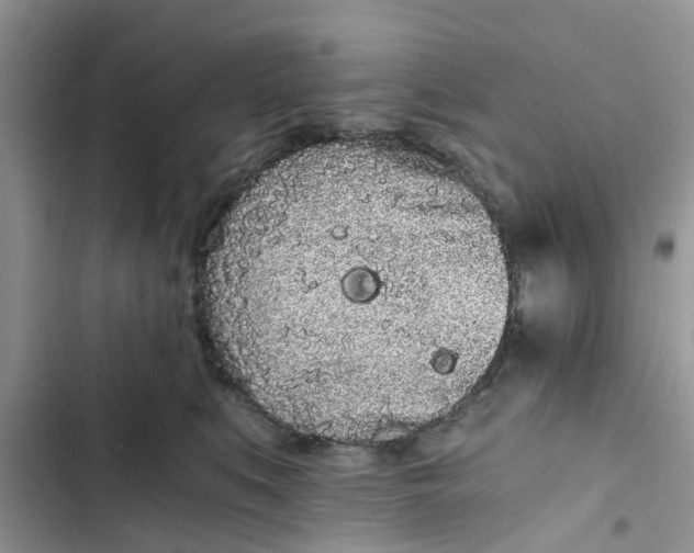 X0000103270519200809191745