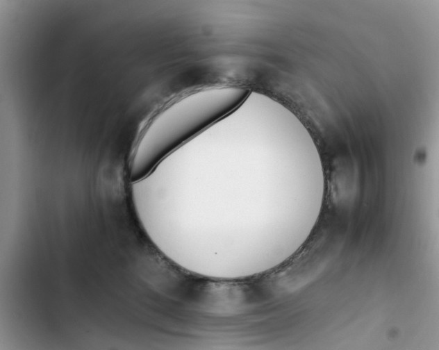 X0000103270520200809191745