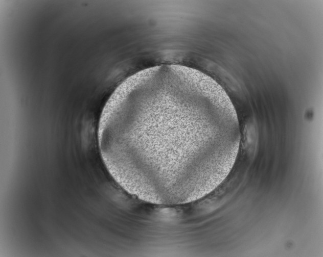 X0000103270522200809191745