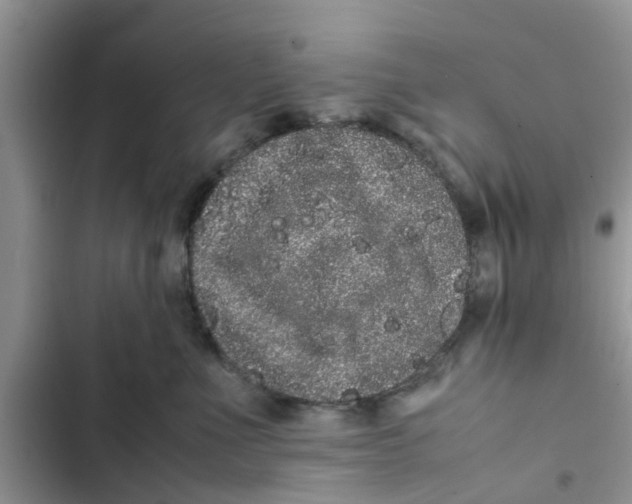 X0000103270523200809191745