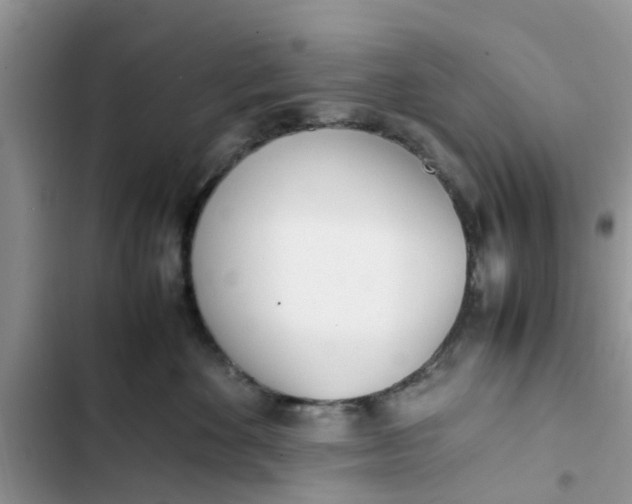 X0000103270524200809191745