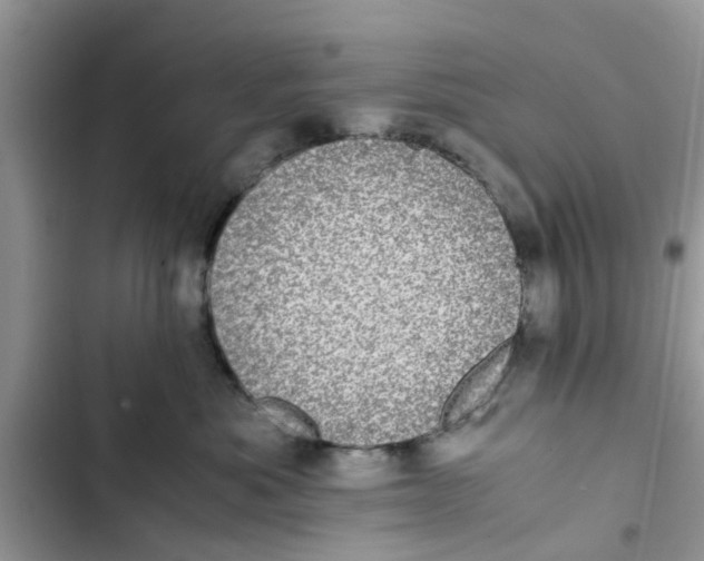 X0000103270525200809191745