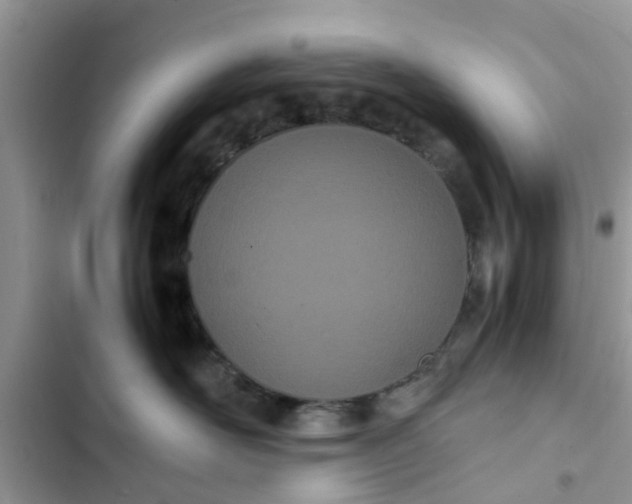 X0000103270526200809191745