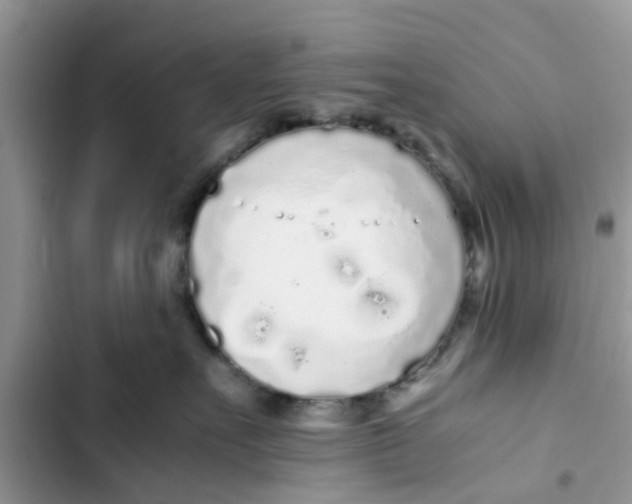 X0000103270527200809191745