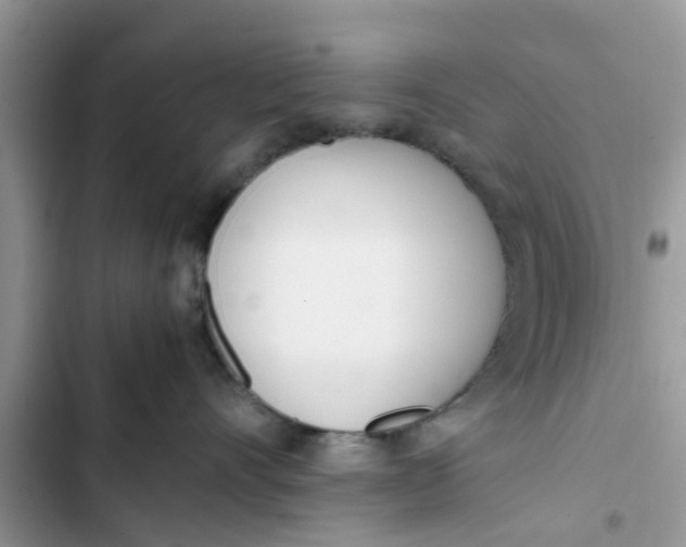 X0000103270528200809191745