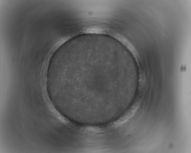 X0000103270529200809191744