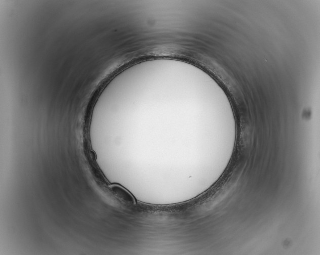 X0000103270530200809191744