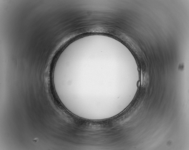 X0000103270531200809191744