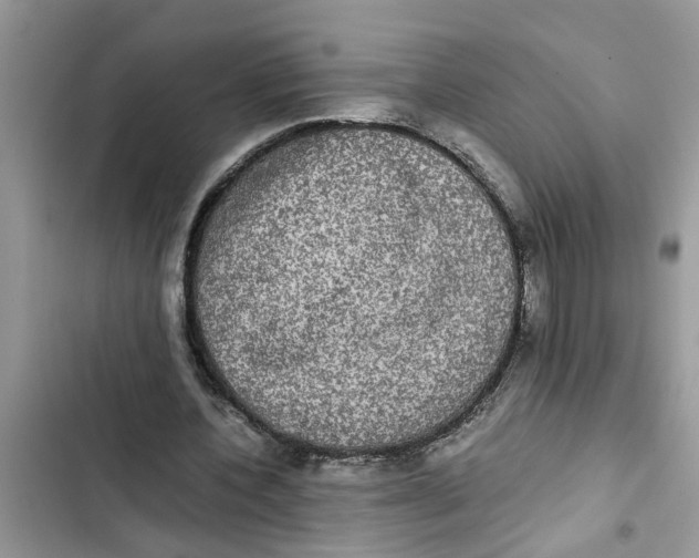 X0000103270532200809191744