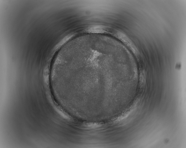 X0000103270533200809191744