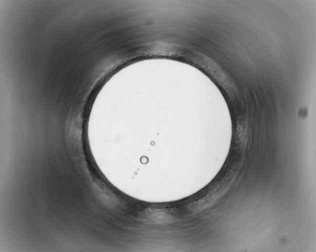 X0000103270534200809191744