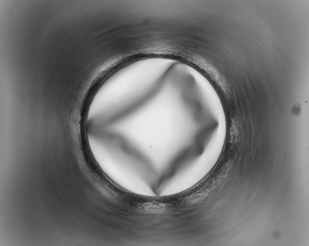 X0000103270535200809191744