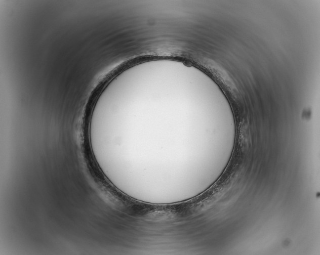 X0000103270536200809191744
