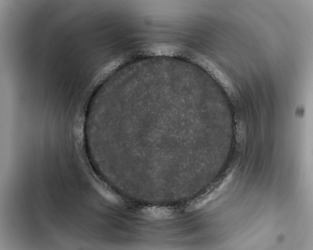 X0000103270537200809191744