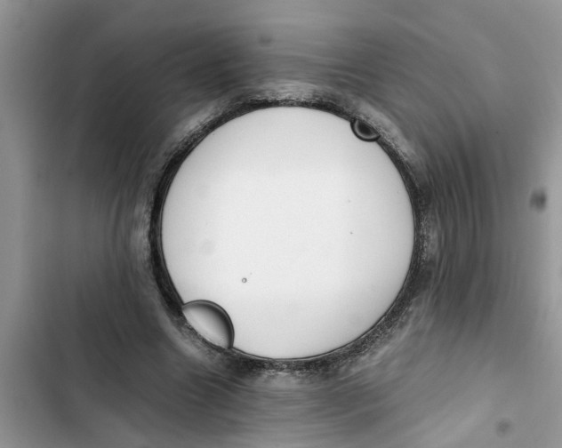X0000103270538200809191744