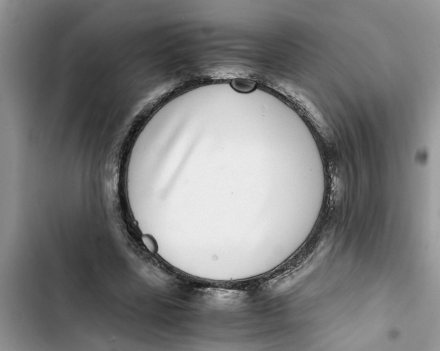 X0000103270539200809191744