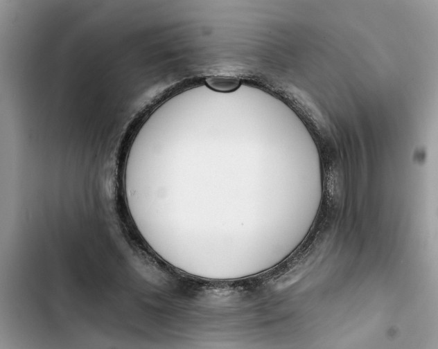 X0000103270540200809191744