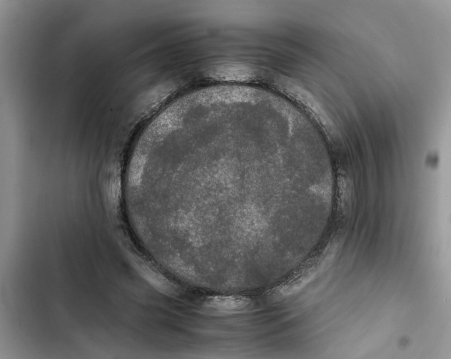 X0000103270541200809191744