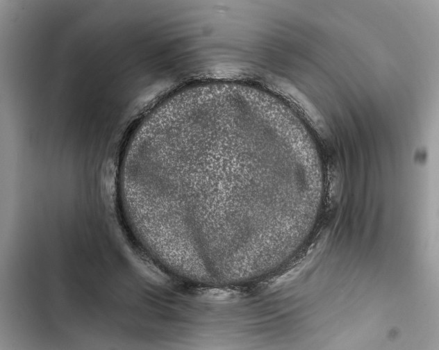 X0000103270542200809191744