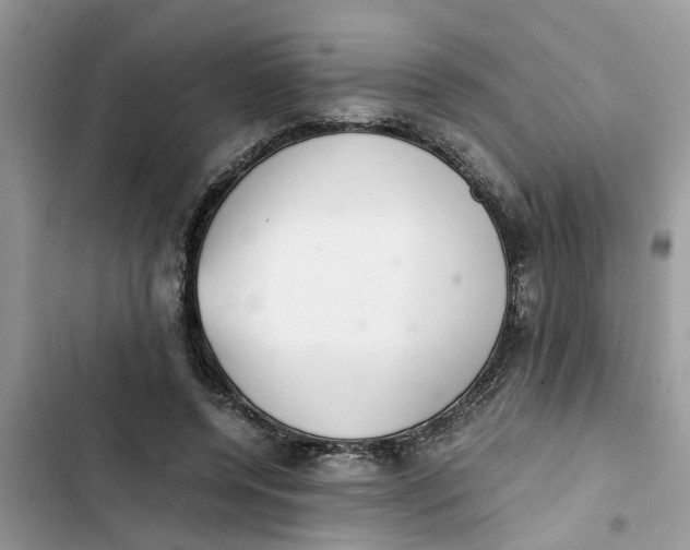 X0000103270544200809191744