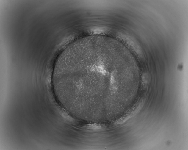 X0000103270545200809191745