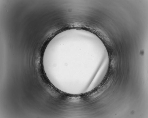 X0000103270548200809191745