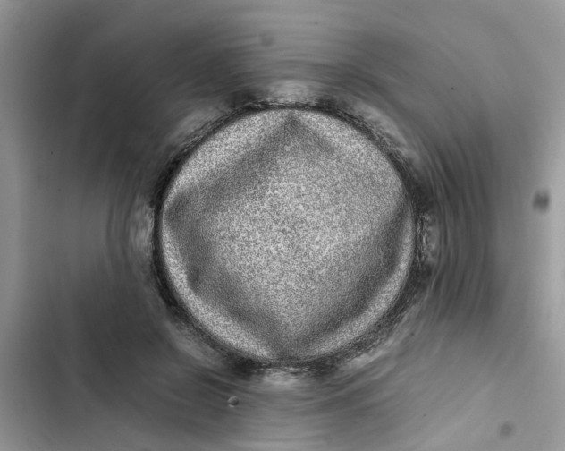 X0000103270550200809191745