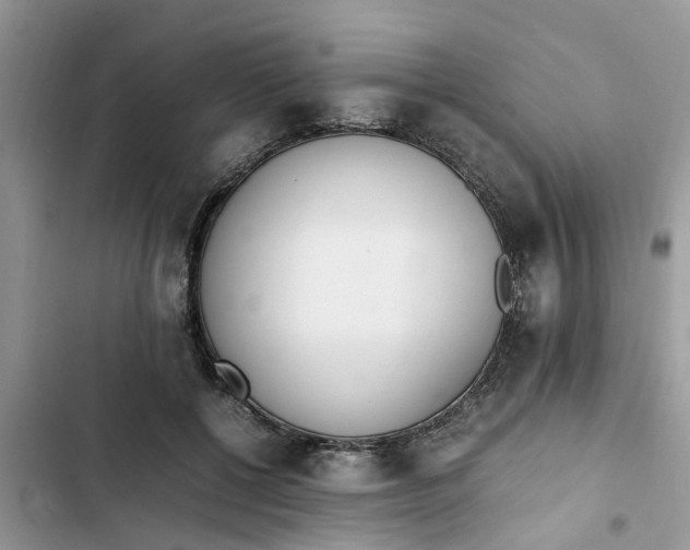 X0000103270552200809191745