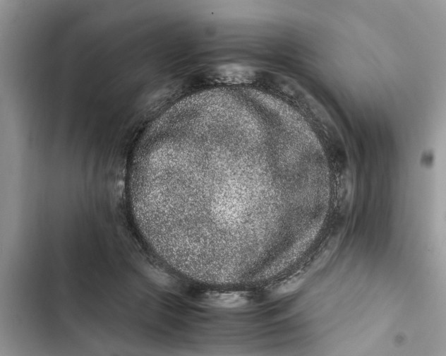 X0000103270553200809191745