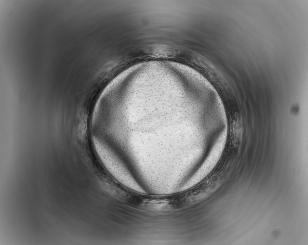 X0000103270554200809191745