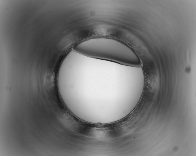 X0000103270556200809191745