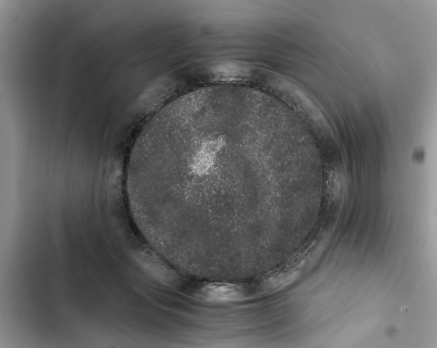 X0000103270557200809191745