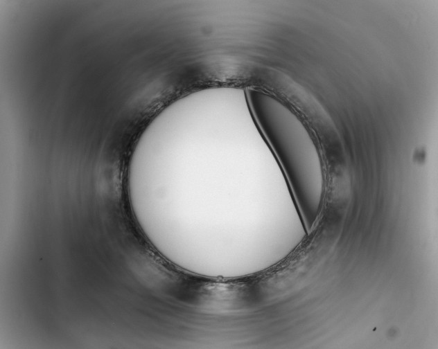 X0000103270558200809191745