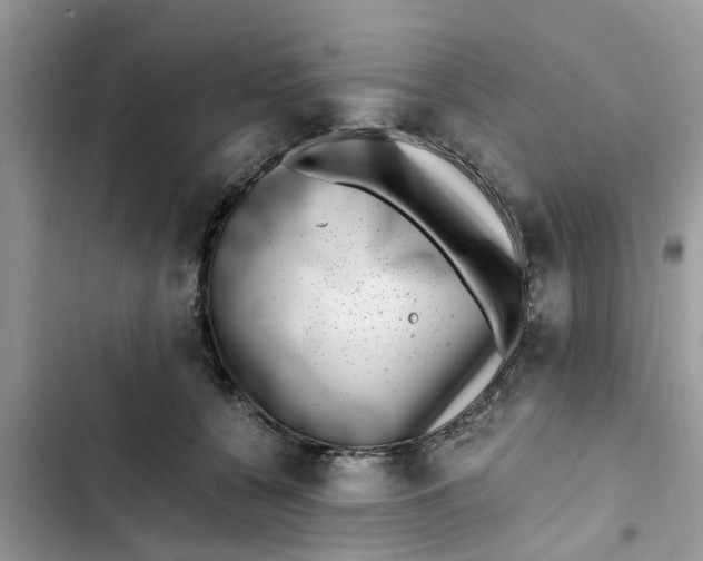 X0000103270560200809191745