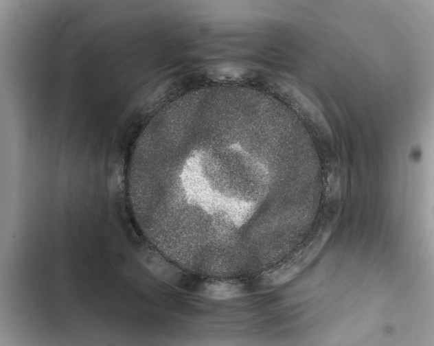 X0000103270561200809191745