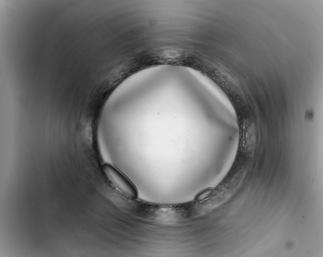 X0000103270562200809191745