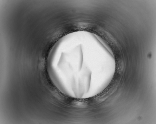 X0000103270563200809191745