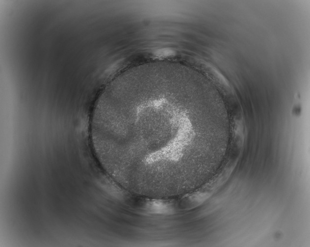 X0000103270565200809191745