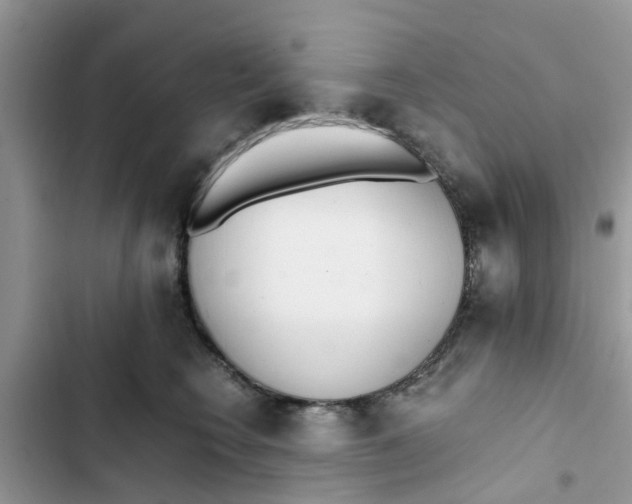 X0000103270566200809191745