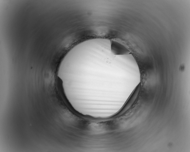 X0000103270568200809191745