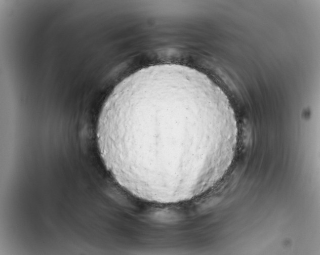 X0000103270569200809191745