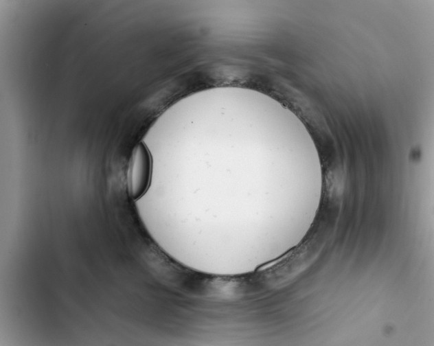 X0000103270570200809191745